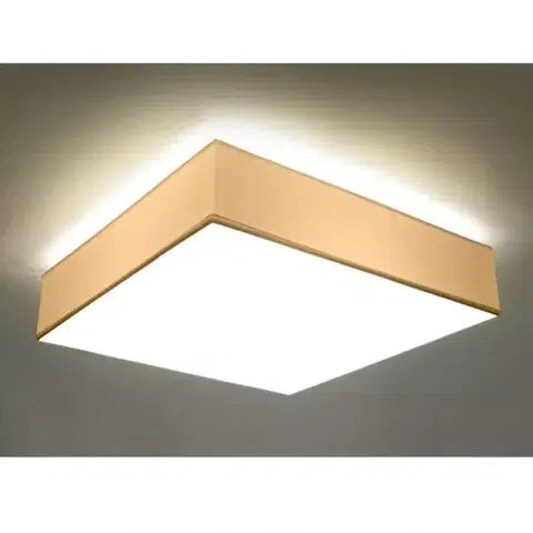 Vnútorné osvetlenie Stropná Lampa Montana 45 WHITE A-14