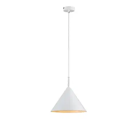 Svietidlá Rabalux 72008 - Luster na lanku JAROD 1xE27/40W/230V biela 72008