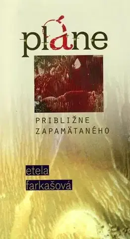 Eseje, úvahy, štúdie Pláne približne zapamätaného - Etela Farkašová,Ingrid Skalická