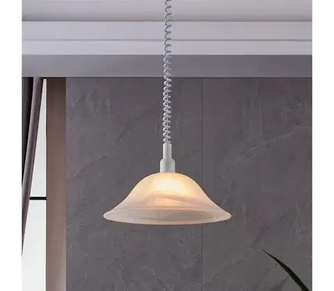 Svietidlá Eglo 3355 - Luster ALESSANDRA 1xE27 / 60W / 230V 3355