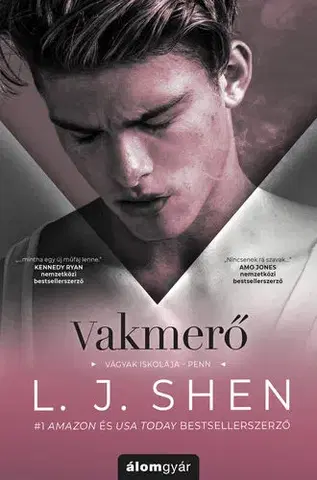 Romantická beletria Vágyak iskolája 1: Vakmerő - L. J. Shen