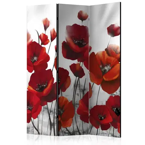 Paravány Paraván Poppies in the Moonlight Dekorhome