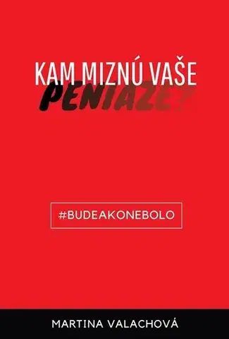 Odborná a náučná literatúra - ostatné Kam miznú vaše peniaze (Cvičebnica nového života) - Martina Valachová