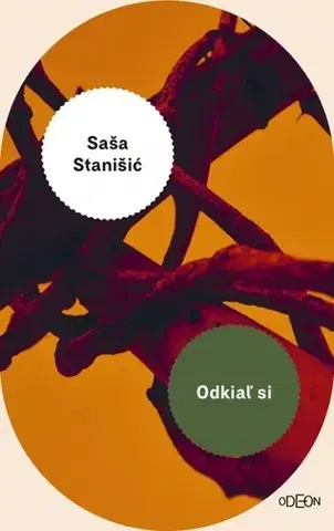 Svetová beletria Odkiaľ si - Saša Stanišic,Milina Svítková
