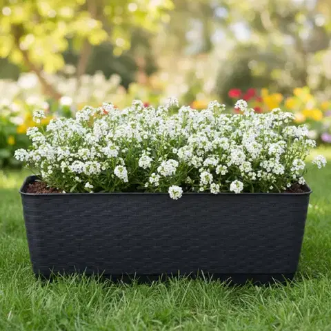 Záhradné kvetináče ProsperPlast Kvetináč RATOLLA  P | antracit 49,2 cm