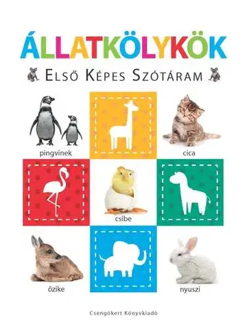 Leporelá, krabičky, puzzle knihy Állatkölykök – Első képes szótáram