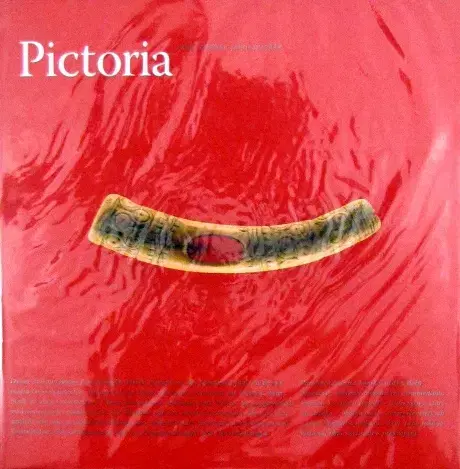 História - ostatné Pictoria (nemecký jazyk) - Pavel Dvořák