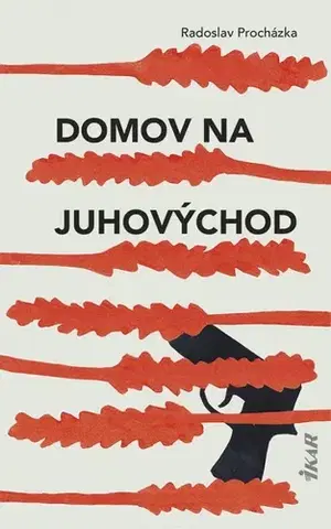 Detektívky, trilery, horory Domov na juhovýchod - Radoslav Procházka