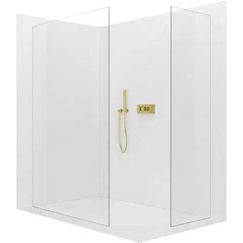 Sprchové dvere CERANO - Sprchová zástena Walk-in Crystal TL/P - 8 mm - bezvzperový systém - zlatá, transparentné sklo - 120x50x200 CER-8050BD5683