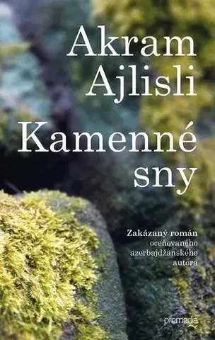 Romantická beletria Kamenné sny - Akram Ajlisli