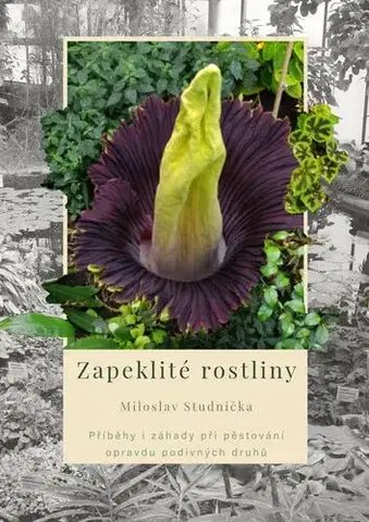 Izbové rastliny Zapeklité rostliny - Miloslav Studnička