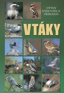 Biológia, fauna a flóra Vtáky - Ottov sprievodca prírodou