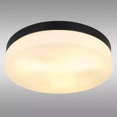 Lampy do obývačky Stropná lampa Vranos 32113B PLD1