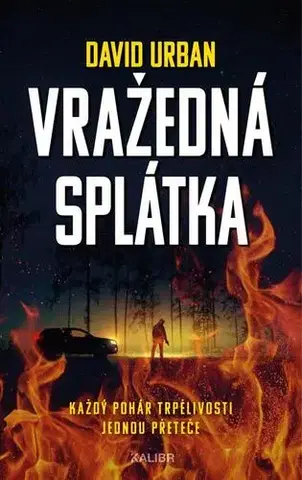 Detektívky, trilery, horory Vražedná splátka - David Urban