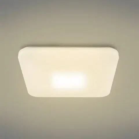 Lampy do obývačky Stropná lampa 41337-24 LED 44x44 cm