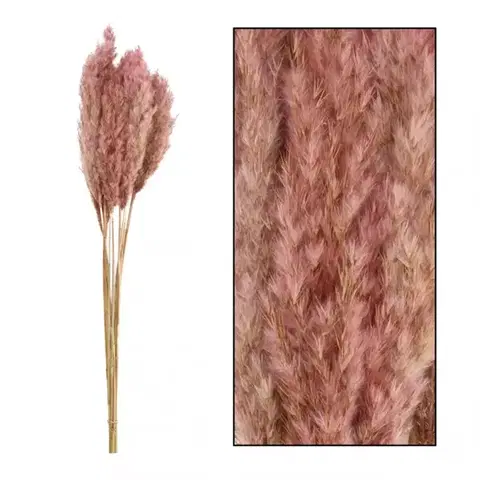 Záhradné dekorácie Umelá tráva Plume 80-90 cm