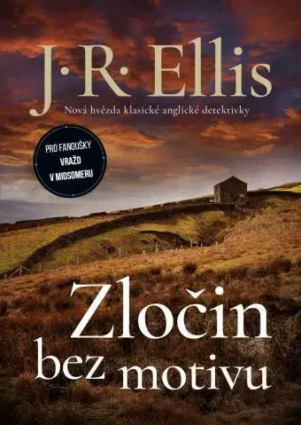 Detektívky, trilery, horory Zločin bez motivu - J. R. Ellis,Michael Havlen