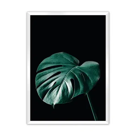 Obrazy Plagát Dark Monstera