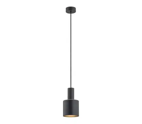 Svietidlá Argon 4219 - Luster na lanku SINES 1xE27/15W/230V pr. 12 cm čierna 4219