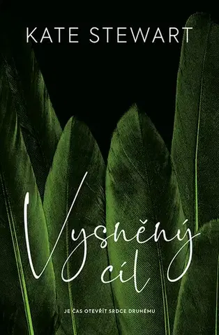 Detektívky, trilery, horory Vysněný cíl - Kate Stewart