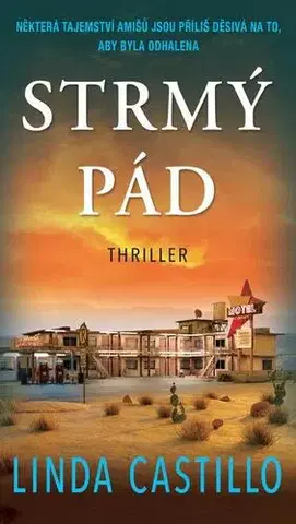Detektívky, trilery, horory Strmý pád - Linda Castillo