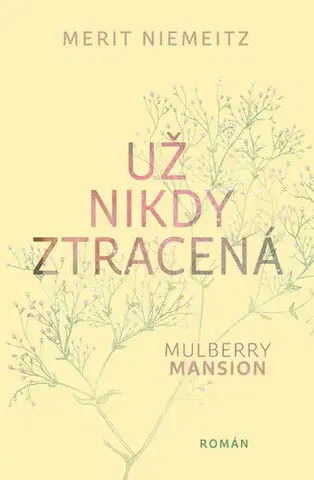 Romantická beletria Už nikdy ztracená - Merit Niemeitz