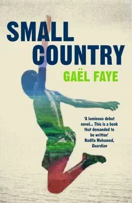 Svetová beletria Small Country - Gaël Faye,Sarah Ardizzone