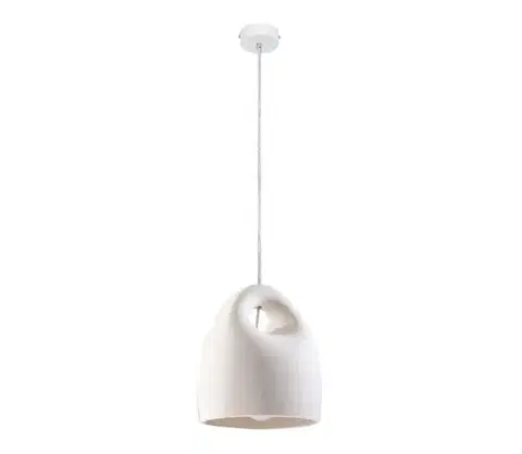 Svietidlá  Luster na lanku BUKANO 1xE27/60W/230V SL.0842
