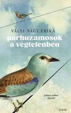 Svetová beletria Párhuzamosok a végtelenben - Erika Vályi-Nagy