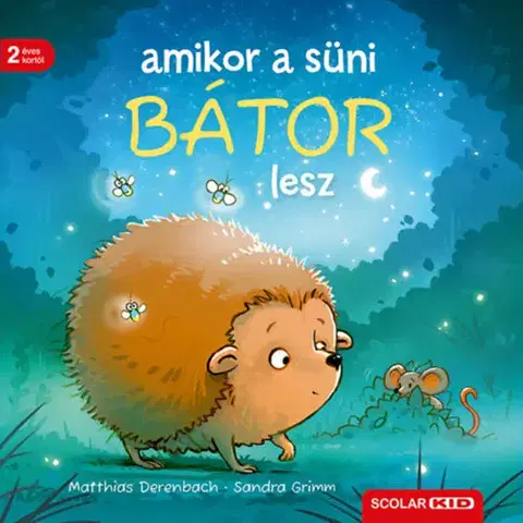 Leporelá, krabičky, puzzle knihy Amikor a süni bátor lesz - Sandra Grimm