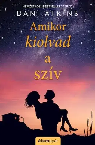 Romantická beletria Amikor kiolvad a szív - Dani Atkins