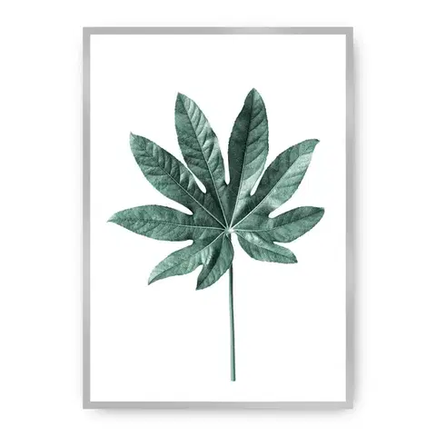 Obrazy Plagát Leaf Emerald Green