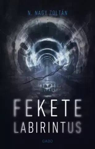 Detektívky, trilery, horory Fekete labirintus - Zoltán N. Nagy