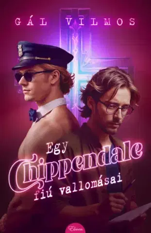 Detektívky, trilery, horory Egy Chippendale-fiú vallomásai - Gál Vilmos