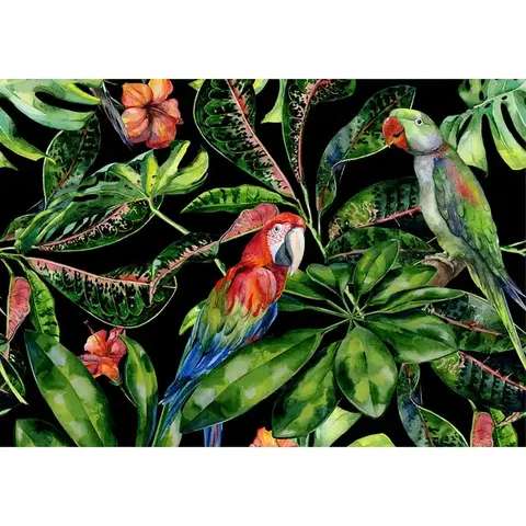 Obrazy Plátno maľba Tropical Birds