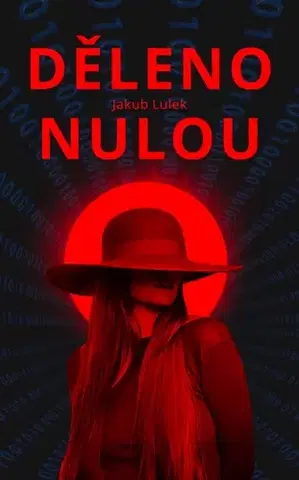 Romantická beletria Děleno nulou - Jakub Lulek