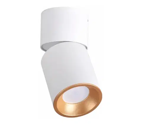 Svietidlá  Bodové svietidlo NIXA 1xGU10/10W/230V biela/zlatá 314260