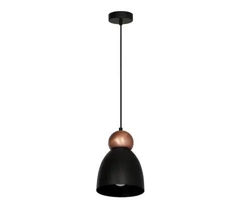 Svietidlá  Luster na lanku TAURUS 1xE27/60W/230V MLP3774