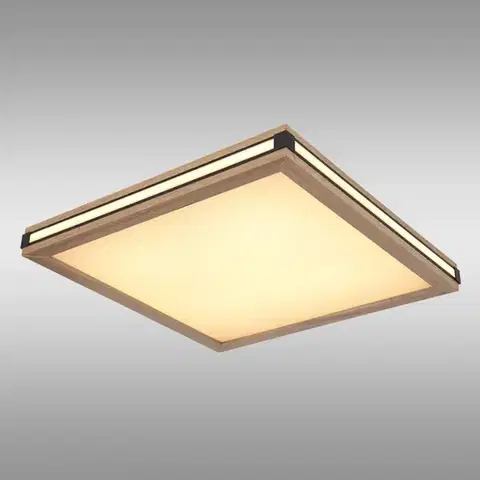 Lampy do obývačky Stropné svietidlo prisadené 41589D2 LED  PL1