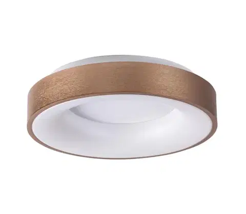 Svietidlá Rabalux 5052 - LED Stropné svietidlo CARMELA LED/30W/230V 5052