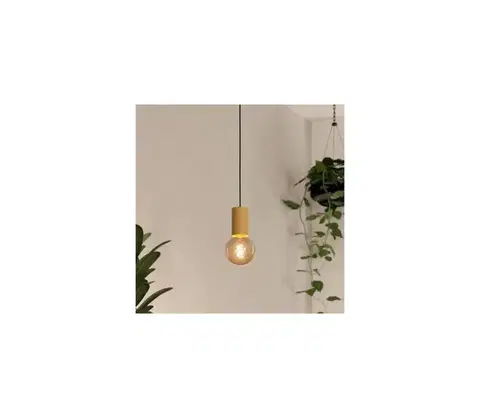 Svietidlá Eglo 900801 - Luster na lanku POZUETA 1xE27/40W/230V hnedá 900801