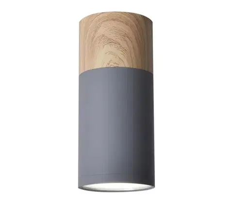 Svietidlá  Stropné svietidlo TUBA GU10/15W/230V 2284279