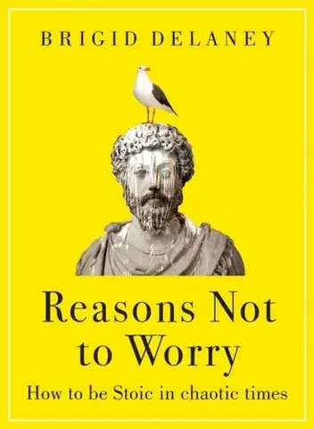 Filozofia Reasons Not to Worry - Brigid Delaney