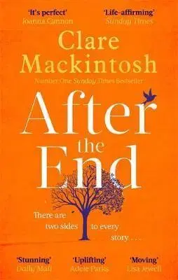 Svetová beletria After the End - Clare Mackintosh