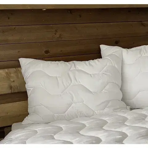 Vankúše Vankúš Aloe Vera LUXURY Microfiber fabric 90x70cm TiaHome