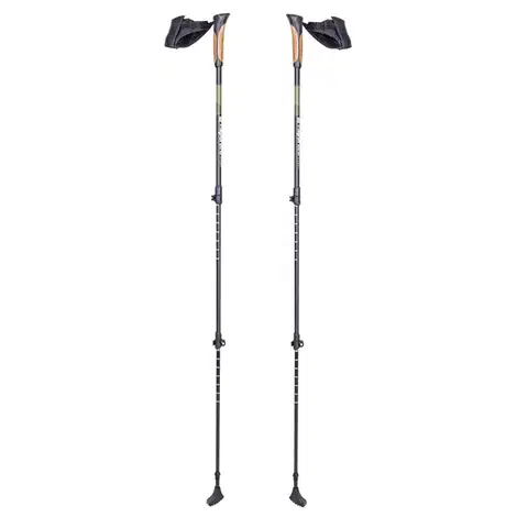 Trekingové palice Nordic walking palice inSPORTline Slogen