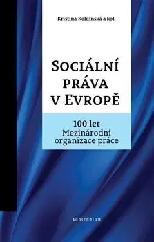 Európske právo Sociální práva v Evropě - Kolektív autorov,Kristina Koldinská