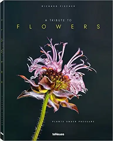 Fotografia A Tribute to FLOWERS - Richard Fischer