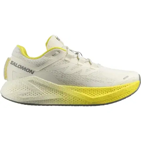 Cesta Salomon Aero Glide 3 M Veľkosť: 46 EUR