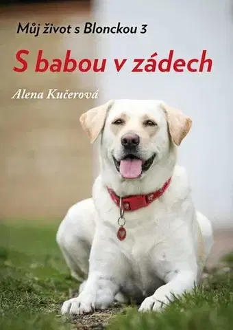 Humor a satira S babou v zádech - Alena Kučerová